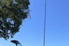 2025 – SEC – Swiss Emergency (Notruf) Contest