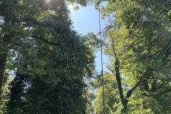 2025 – SEC – Swiss Emergency (Notruf) Contest