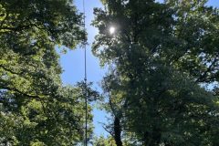 2025 – SEC – Swiss Emergency (Notruf) Contest